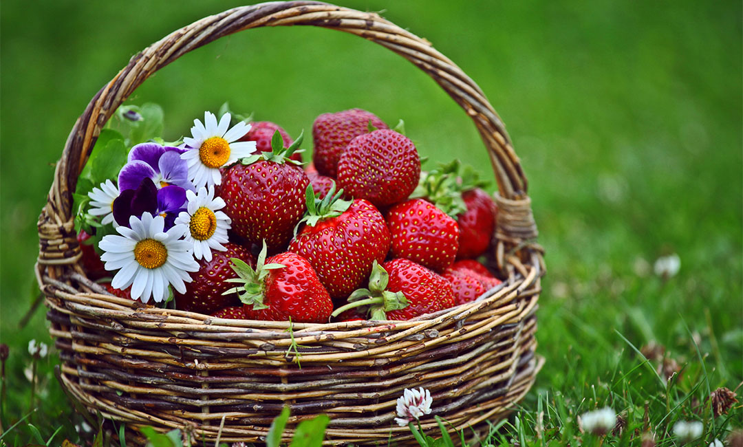 丹东点呀点水果电商APP开发案例