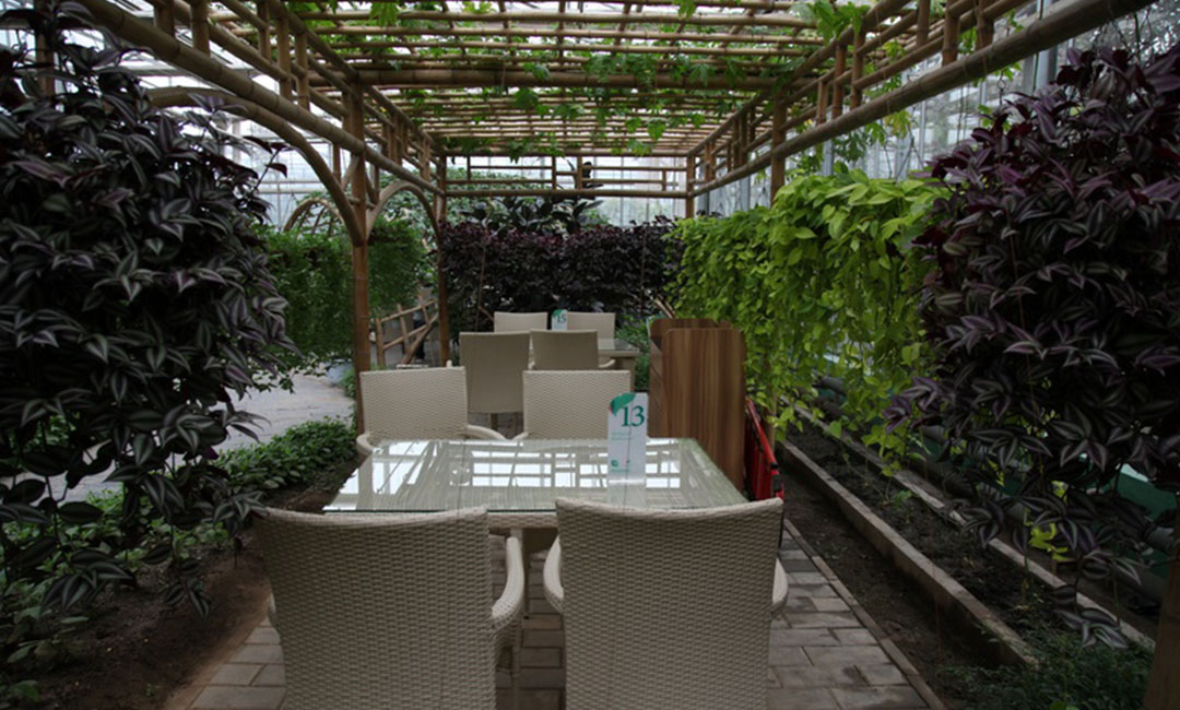 丹东康柏宇品牌文案撰写案例